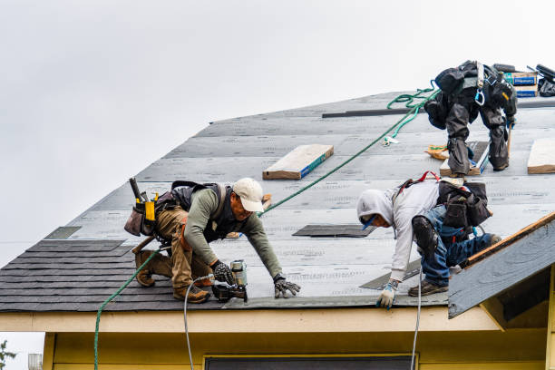 Professional Storm Damage Roof Repair technician working in Semora, NC